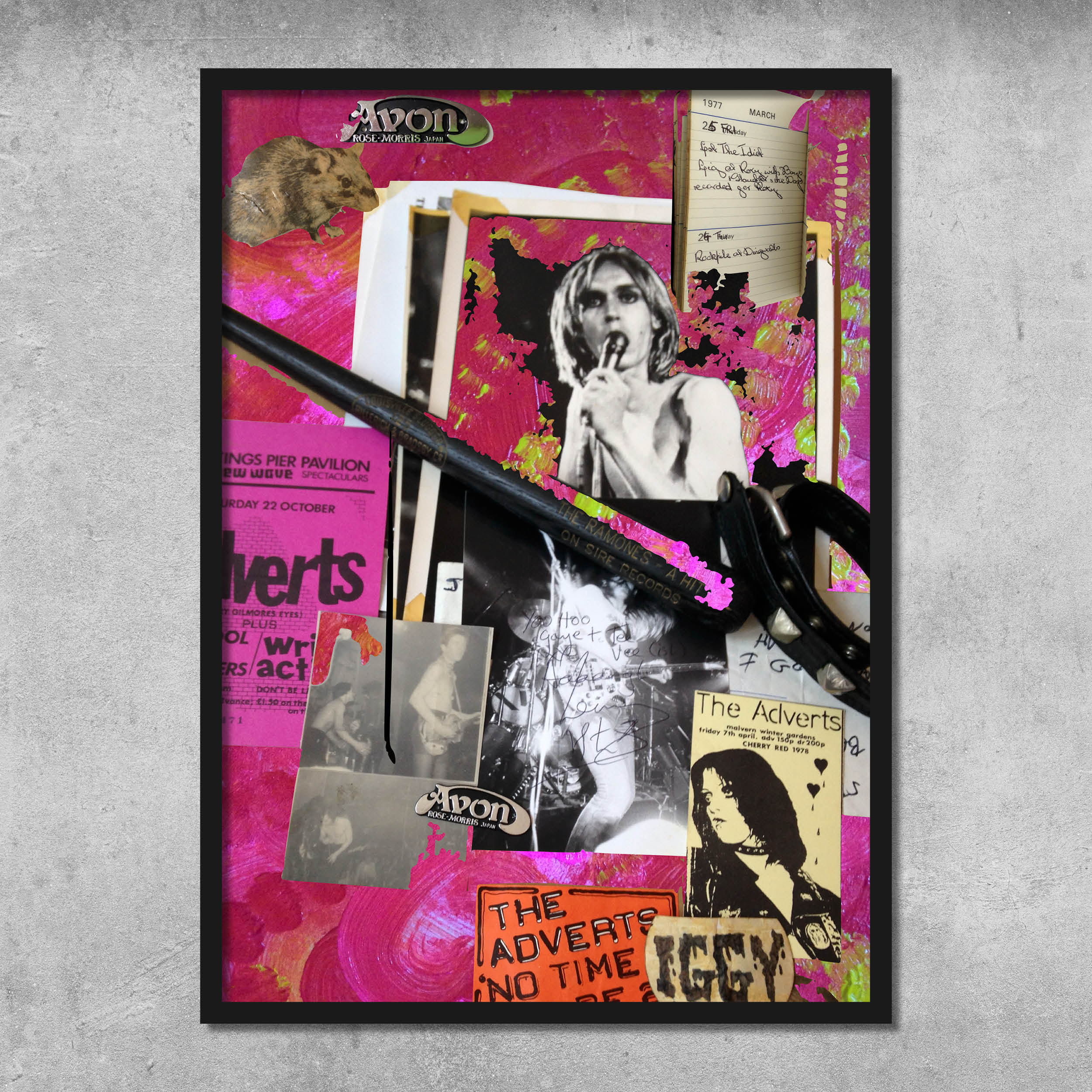 Memorabilia 2 (Iggy/Adverts/Pink) - Poster Print - Signed by Gaye Black