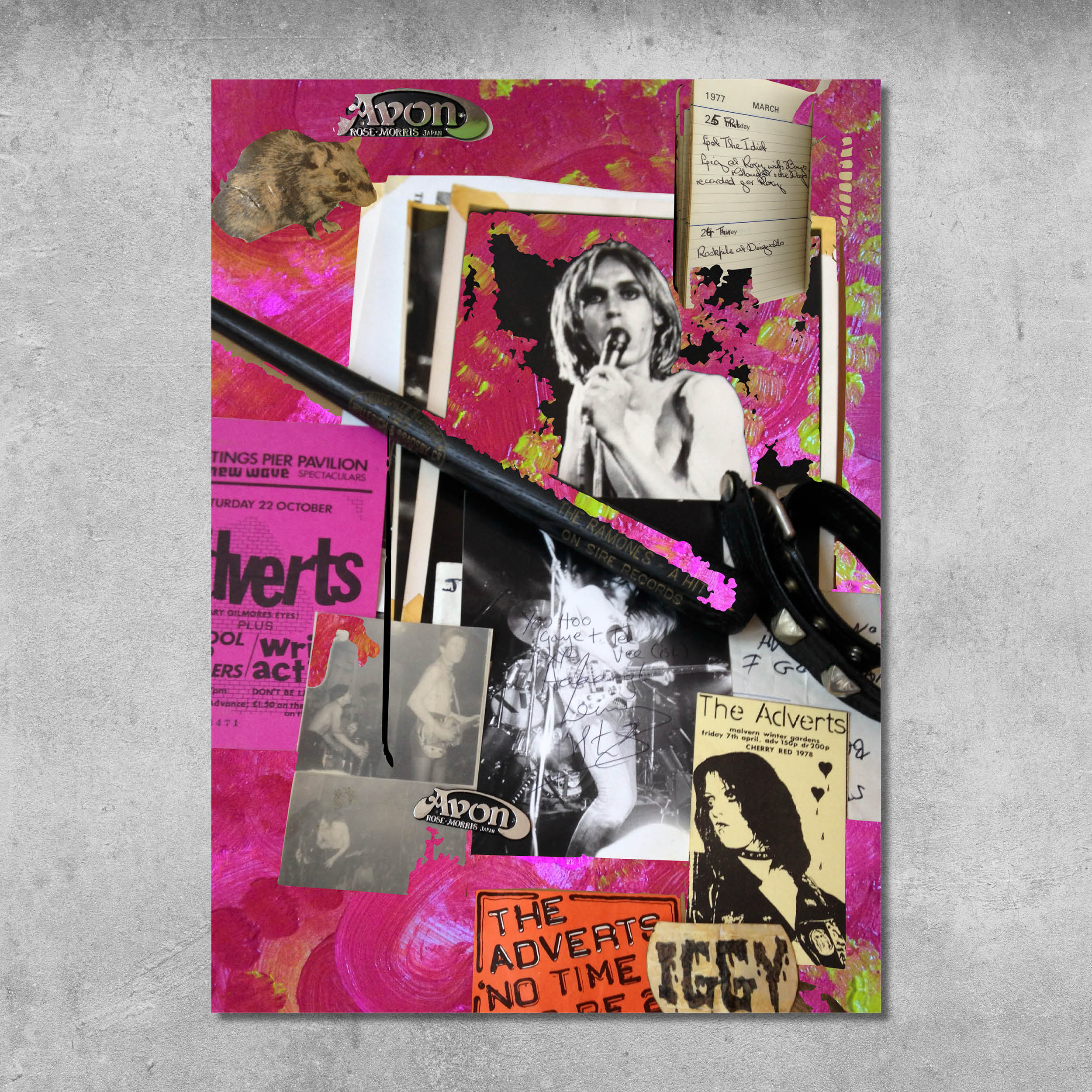 Memorabilia 2 (Iggy/Adverts/Pink) - Poster Print - Signed by Gaye Black